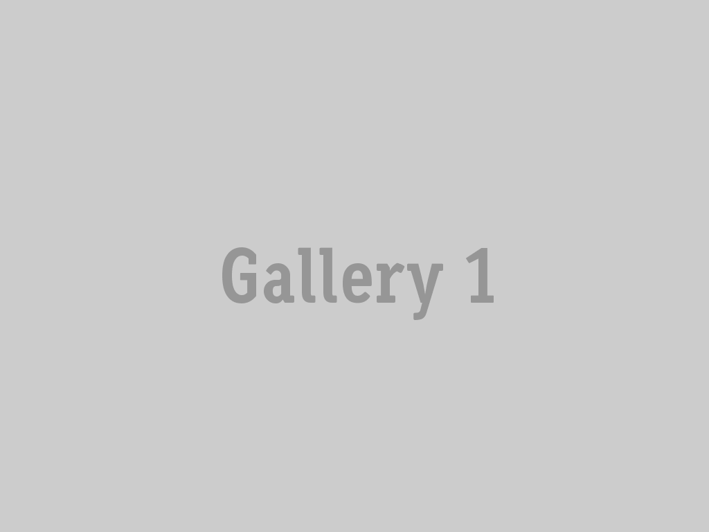 Gallery 1 Termoconstruct